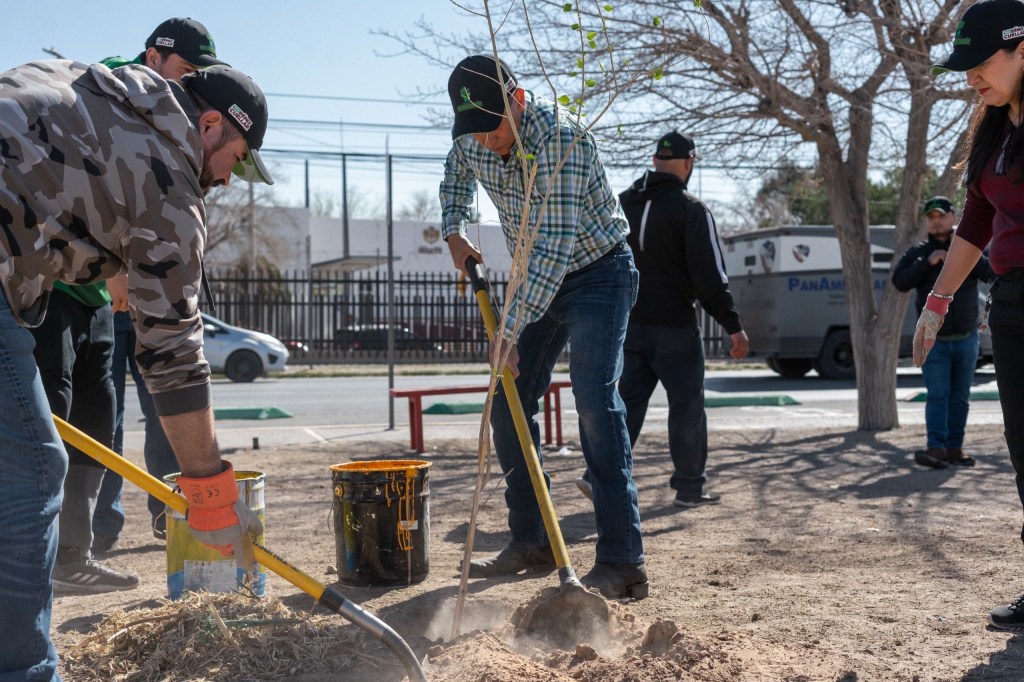 ¡CONTINÚAN REFORESTANDO LA&nbsp;CIUDAD!