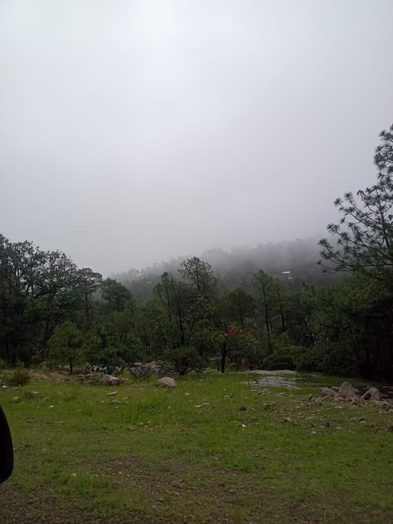 HELADAS EN LA SIERRA POR INGRESO DEL FRENTE FRÍO&nbsp;11