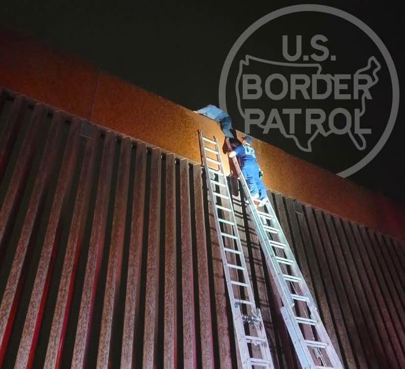 LO ABANDONARON LOS POLLEROS Y LO TRAMPA LA&nbsp;MIGRA