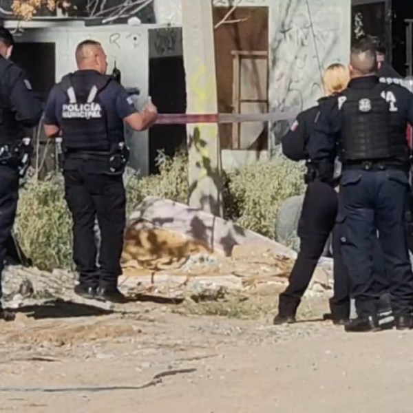 REPORTAN ENCOBIJADO EN LA&nbsp;CONSTITUCIÓN