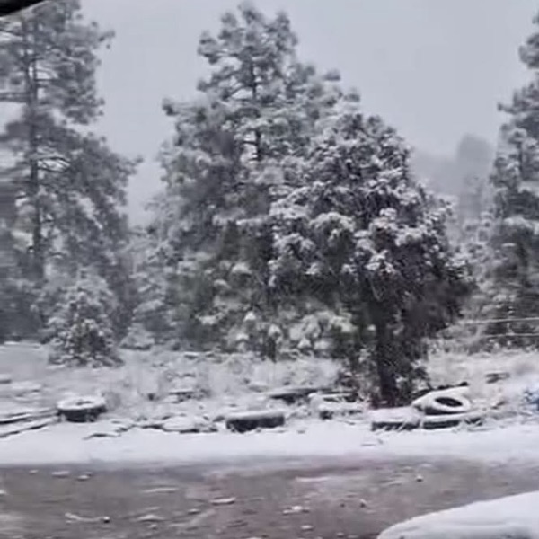 EL BLANCO DESPIERTA EN LA SIERRA DE&nbsp;CHIHUAHUA