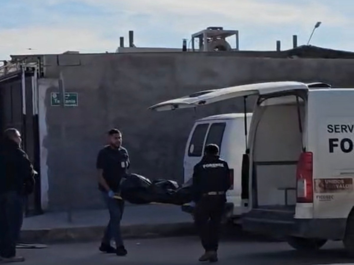 MUJER FALLECE AL SER ATROPELLADA, CONDUCTOR LE PRESTÓ&nbsp;AUXILIO