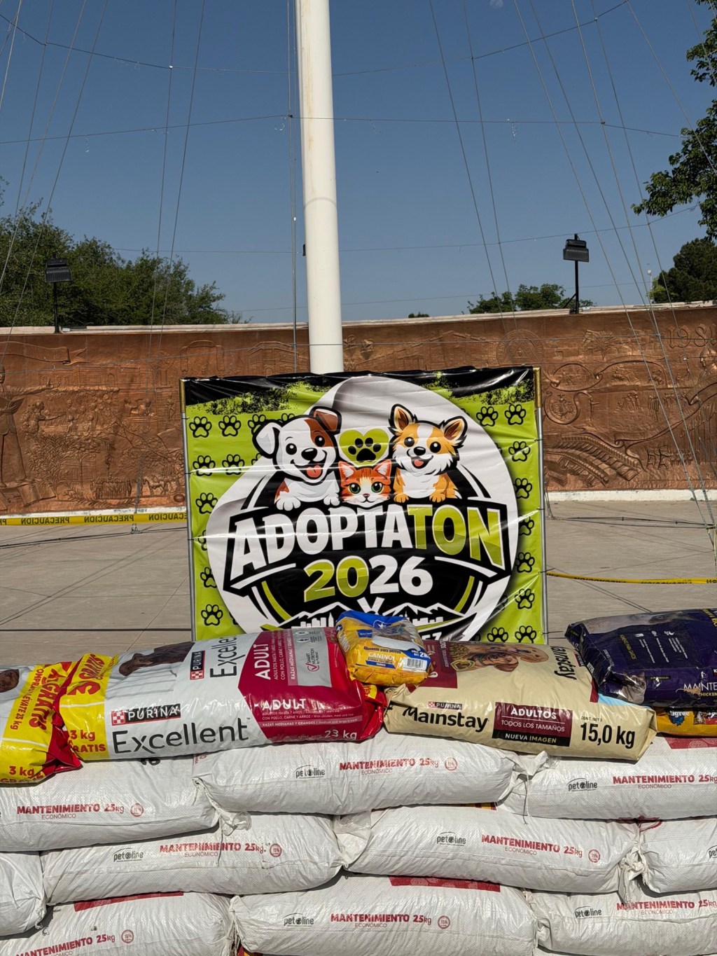 AYUDE A LOS RESCATISTAS, ADOPTATÓN 2026 SUMA APOYO Y&nbsp;ADOPCIONES