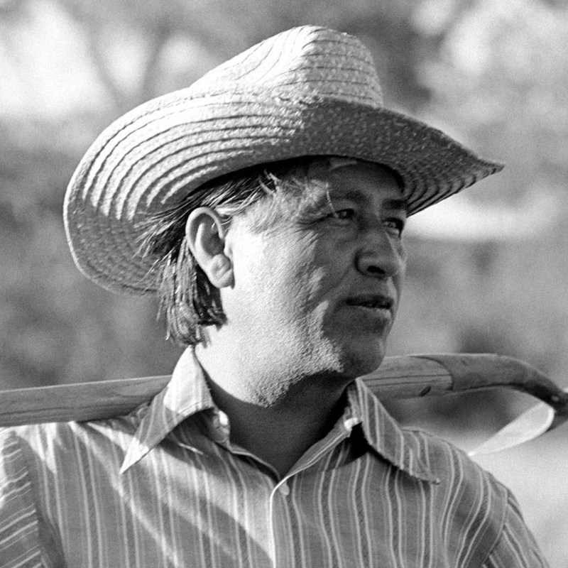 CHICANO VIOLÍN, INVESTIGACIÓN DEL NEW YORK TIMES SACUDE LEGADO DE CÉSAR&nbsp;CHÁVEZ