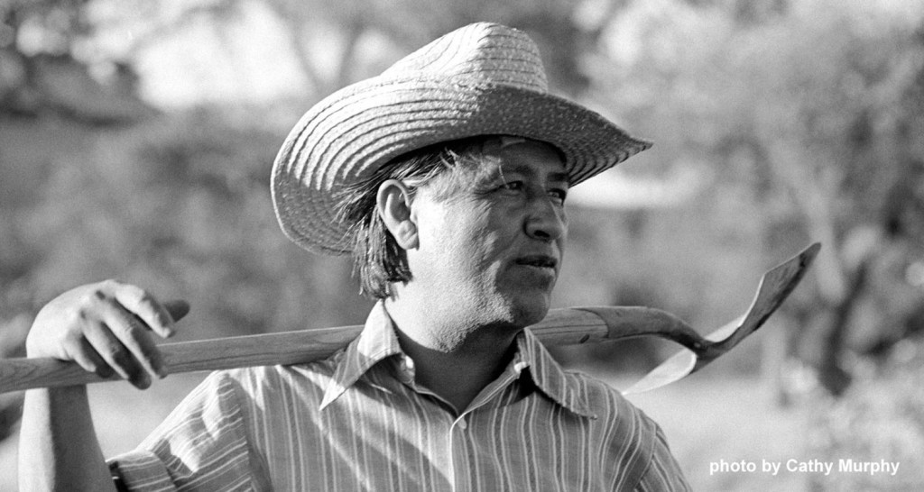 CHICANO VIOLÍN, INVESTIGACIÓN DEL NEW YORK TIMES SACUDE LEGADO DE CÉSAR&nbsp;CHÁVEZ