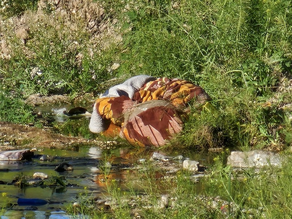 LOCALIZAN CUERPO ENCOBIJADO EN UN&nbsp;ARROYO