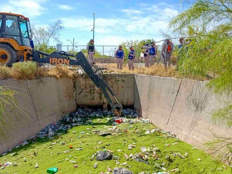 PURA GENTE MARRANA, BASURA DE CIUDADANOS VUELVE A TAPONEAR LA ACEQUIA&nbsp;MADRE