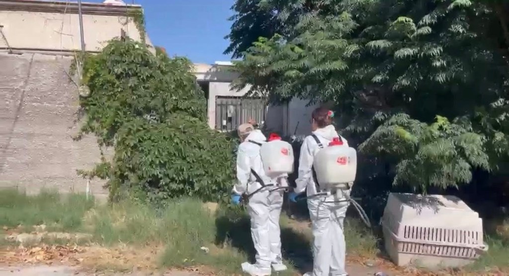 FUMIGAN VIVIENDA INFESTADA DE GARRAPATAS TRAS MUERTE DE MUJER