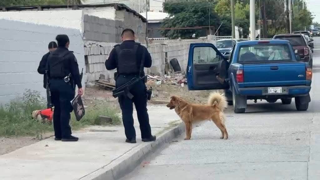 LOMITO SE REHÚSA A DEJAR A SU DUEÑO TRAS FALLECER AL VOLANTE