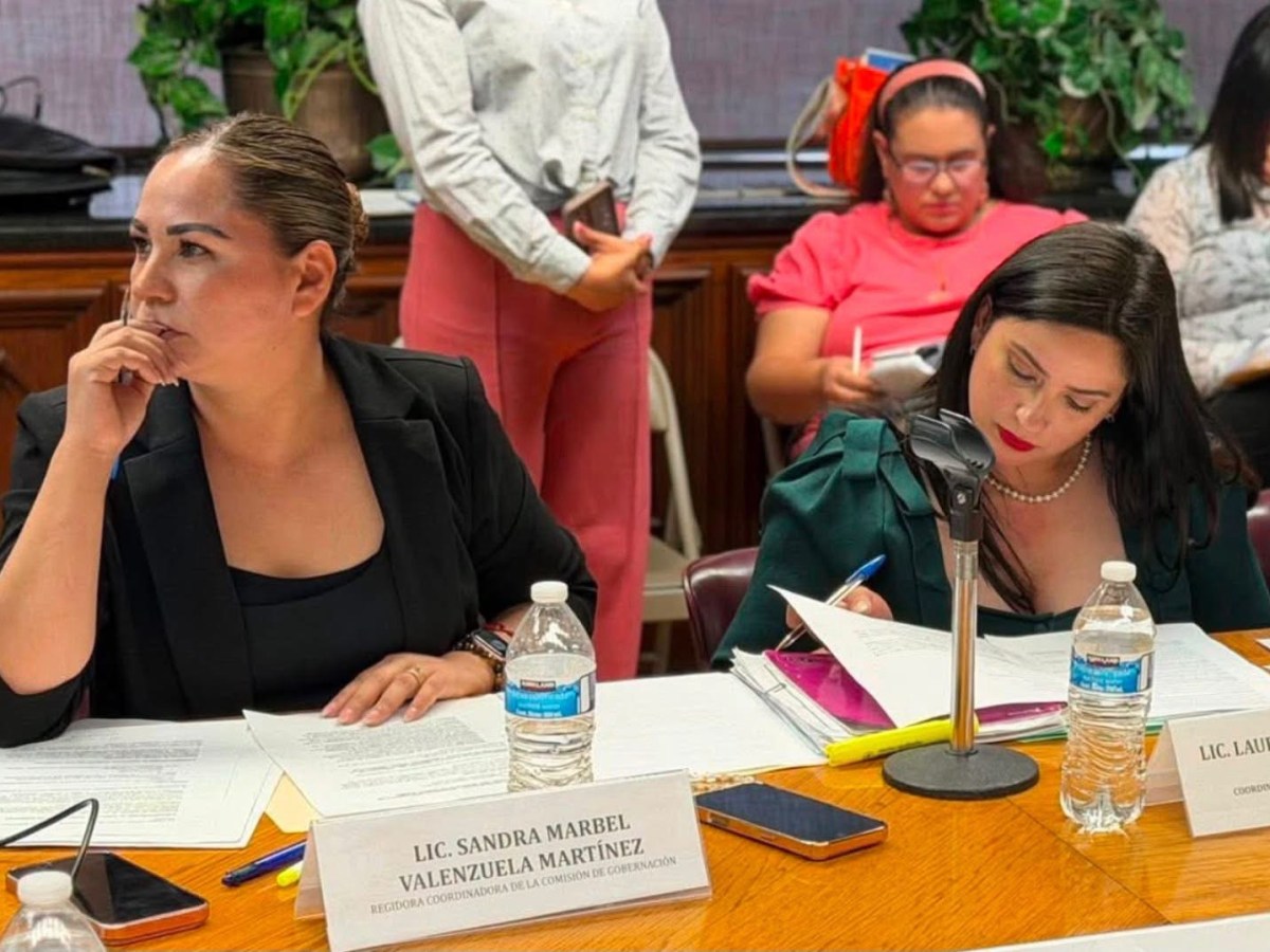 REGIDORES ANALIZAN PROPUESTAS CIUDADANAS PARA FORTALECER EL NUEVO REGLAMENTO DE BIENESTAR ANIMAL DE CIUDAD&nbsp;JUÁREZ
